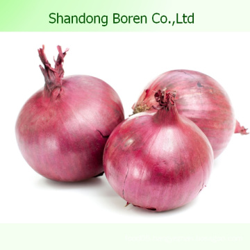 2015 Chinese Vegetable Fresh Red Onion